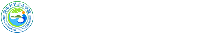 bw西汉姆联